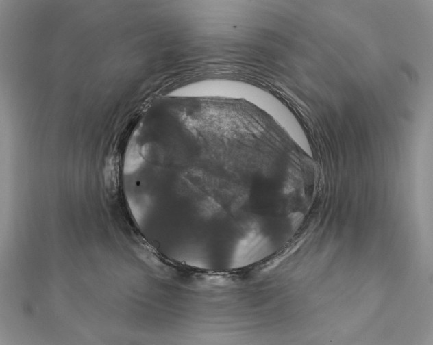 X0000111870475200908201220