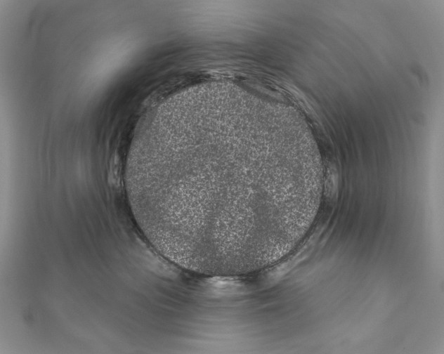 X0000111870477200908201220