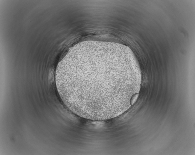 X0000111870478200908201220