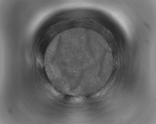 X0000111870479200908201220