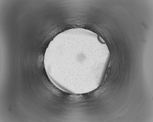 X0000111870480200908201220