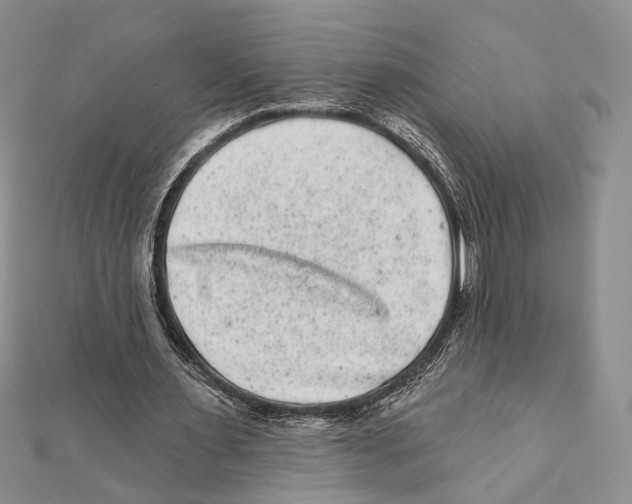 X0000111870483200908201220