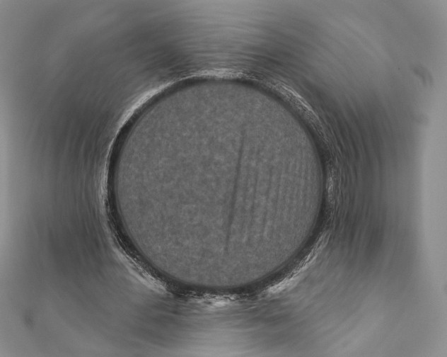 X0000111870484200908201220