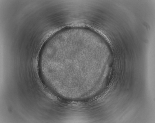 X0000111870487200908201220