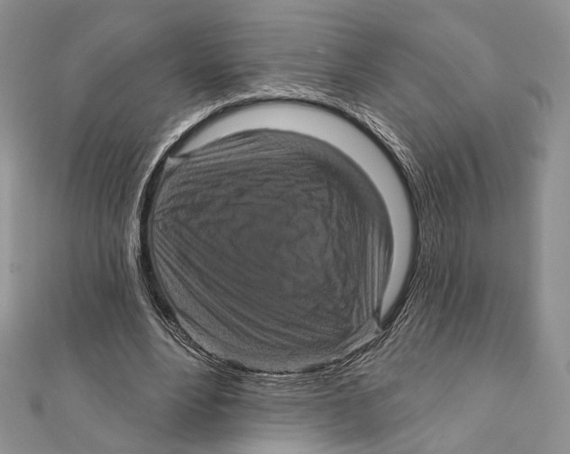 X0000111870488200908201220