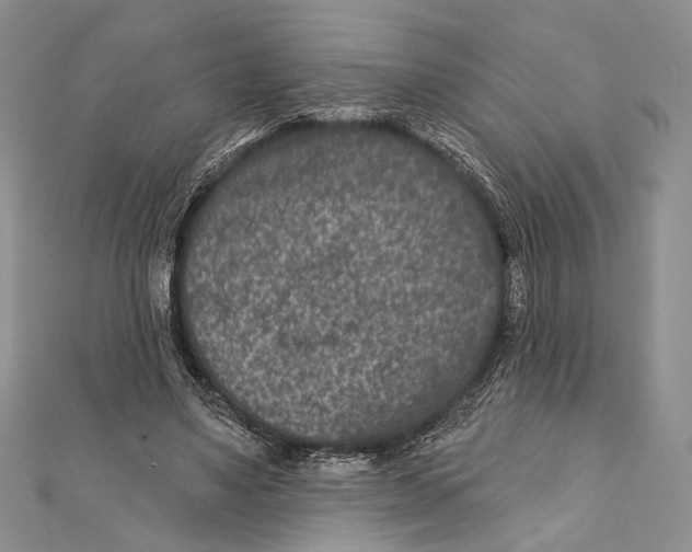 X0000111870491200908201220