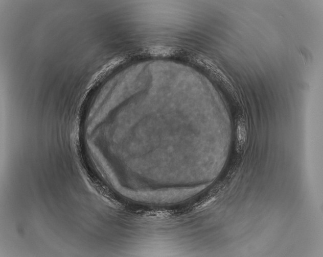 X0000111870492200908201220