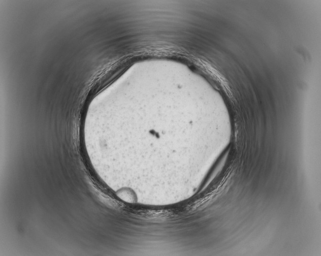 X0000111870493200908201220