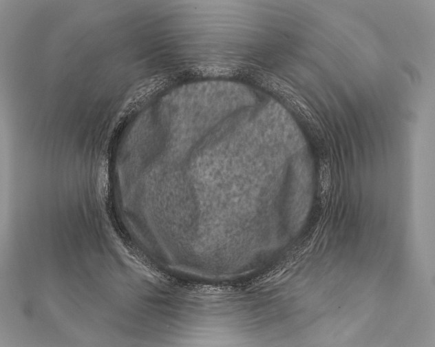 X0000111870494200908201220