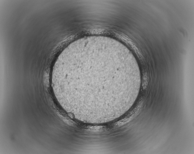 X0000111870497200908201220