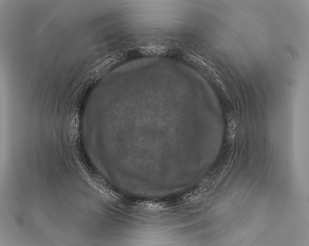 X0000111870498200908201220