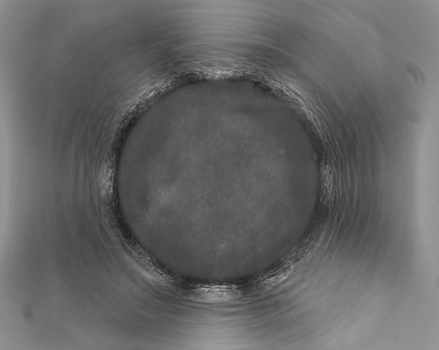 X0000111870499200908201220