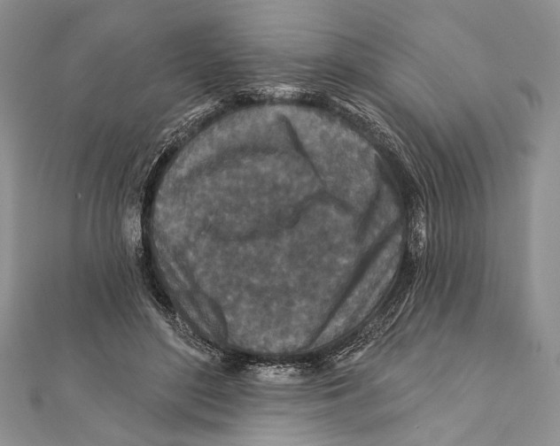 X0000111870500200908201220