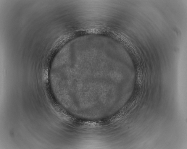 X0000111870502200908201220