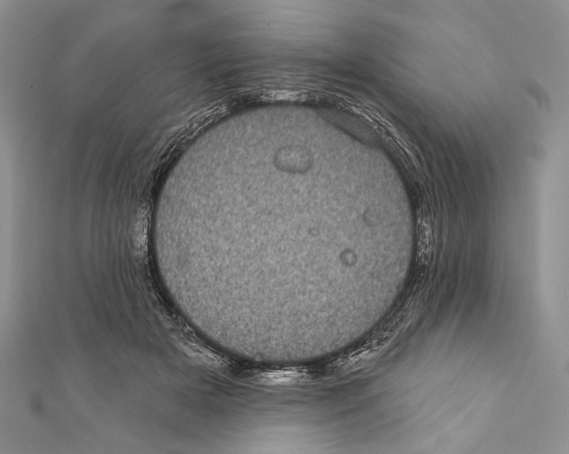 X0000111870505200908201220