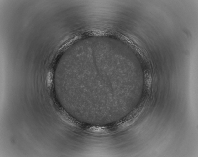 X0000111870507200908201220