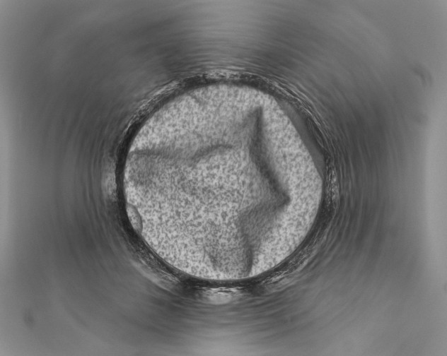 X0000111870508200908201220