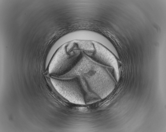 X0000111870509200908201220