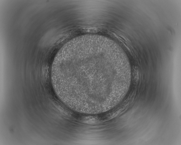 X0000111870511200908201219