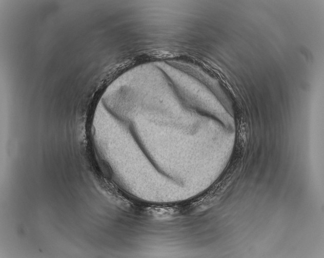 X0000111870512200908201219