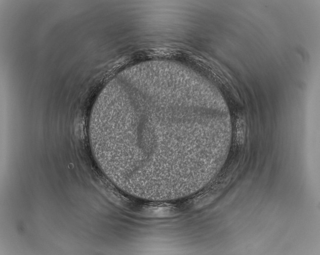 X0000111870514200908201219