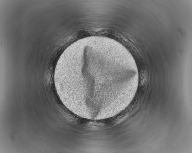 X0000111870515200908201219