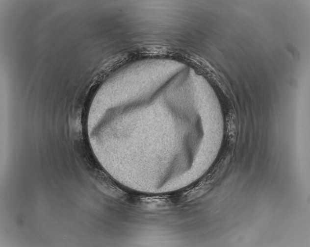 X0000111870516200908201219