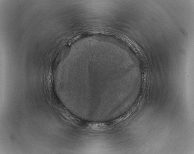 X0000111870517200908201219