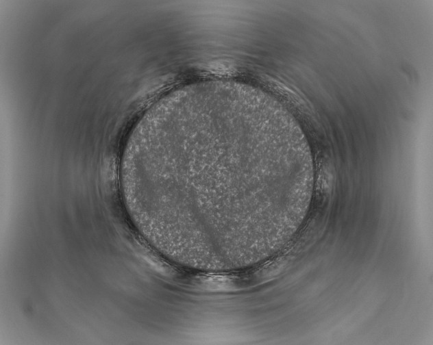 X0000111870518200908201219