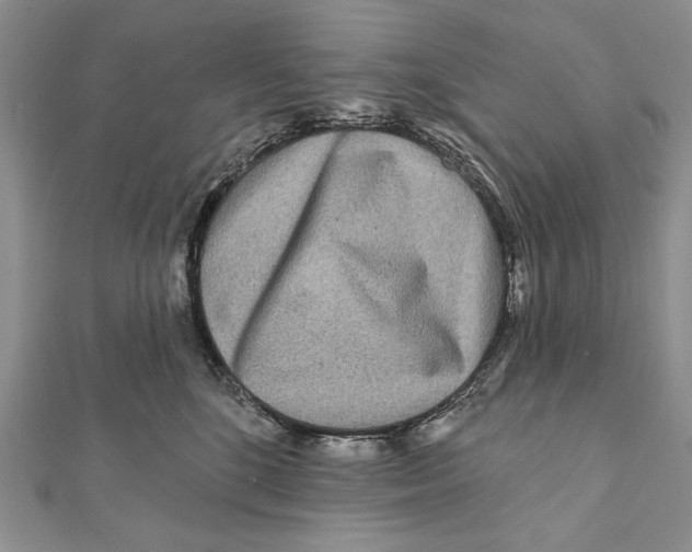 X0000111870520200908201219