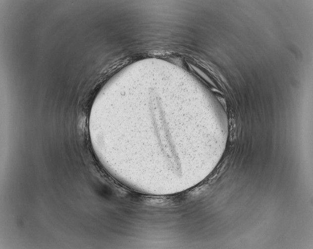 X0000111870521200908201219