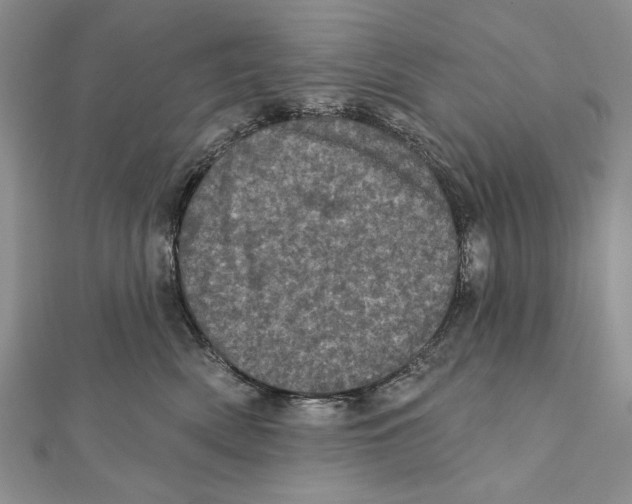 X0000111870522200908201219