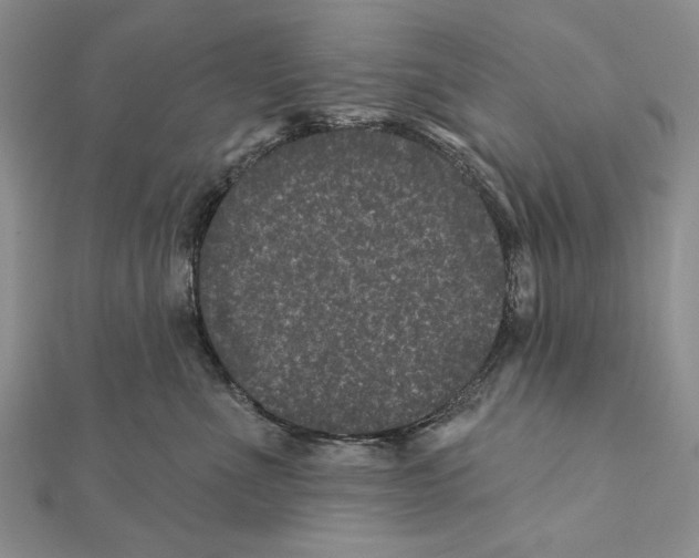 X0000111870523200908201219