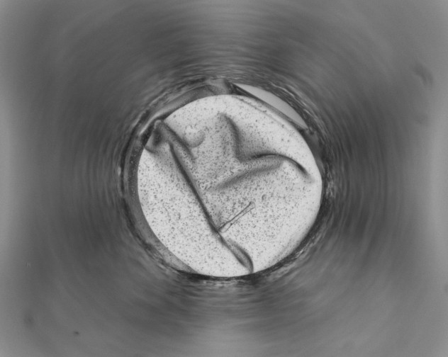 X0000111870524200908201219