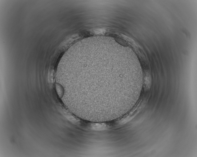 X0000111870525200908201219