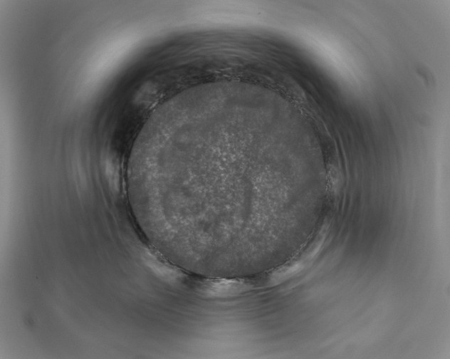 X0000111870527200908201219