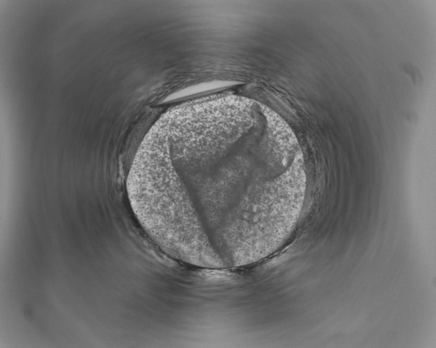 X0000111870528200908201219