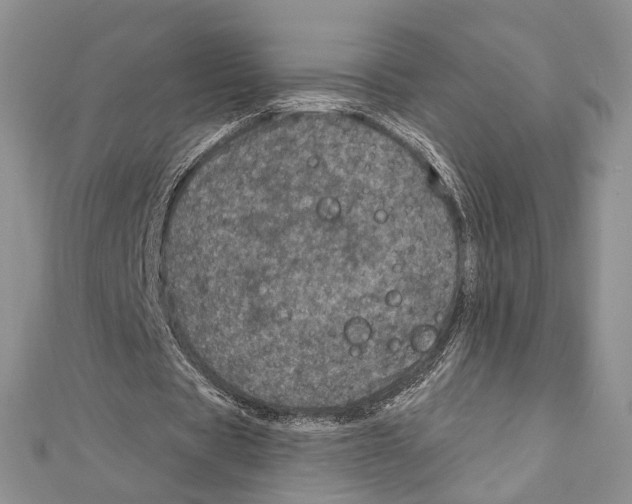 X0000111870529200908201219