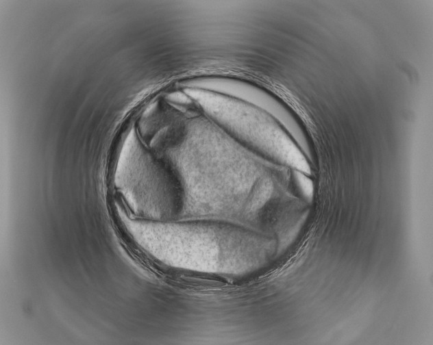 X0000111870530200908201219