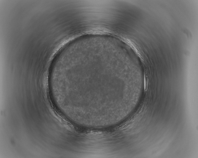 X0000111870531200908201219