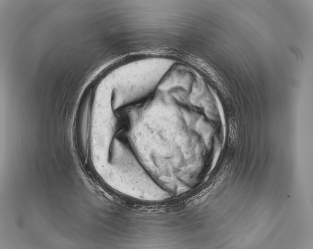 X0000111870532200908201219