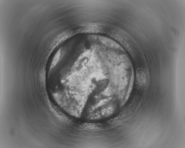 X0000111870534200908201219