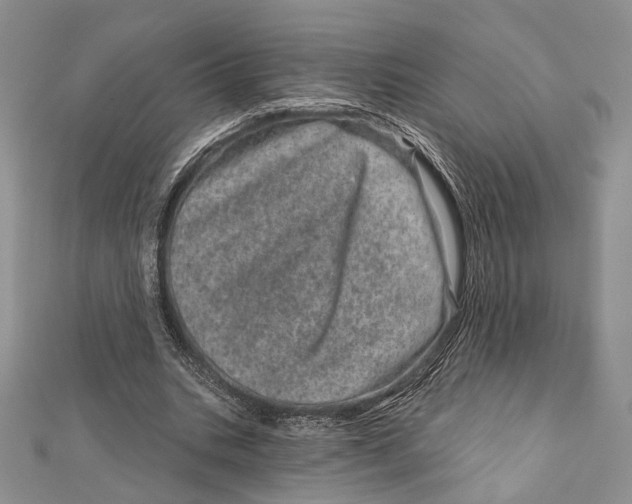 X0000111870535200908201219