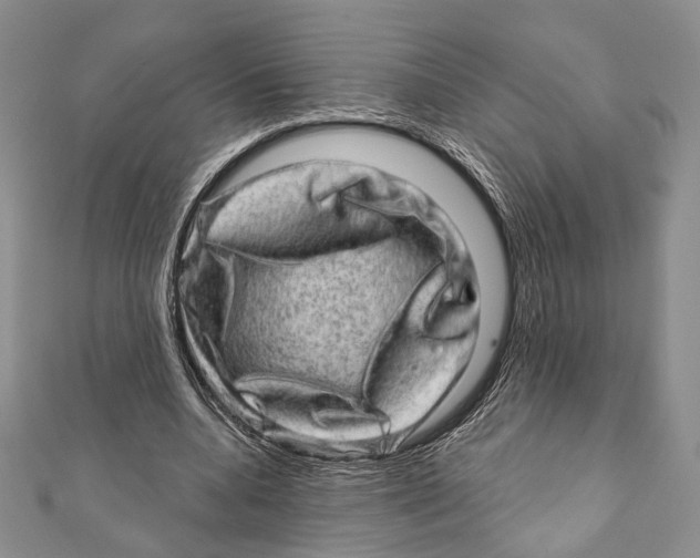 X0000111870536200908201219