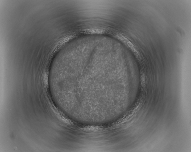 X0000111870537200908201219