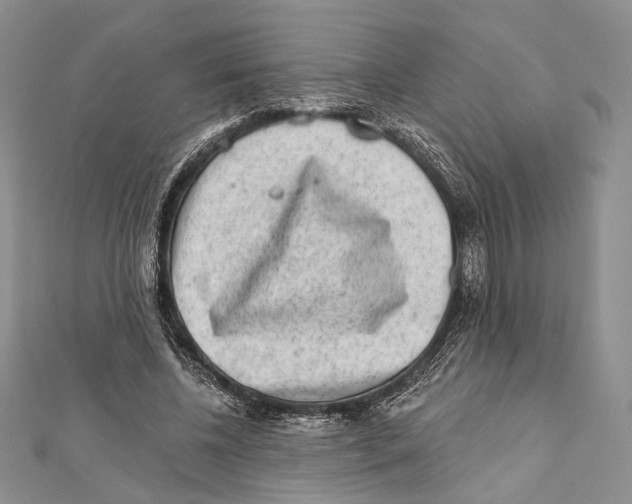 X0000111870540200908201219