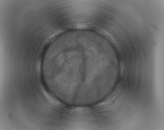 X0000111870542200908201219