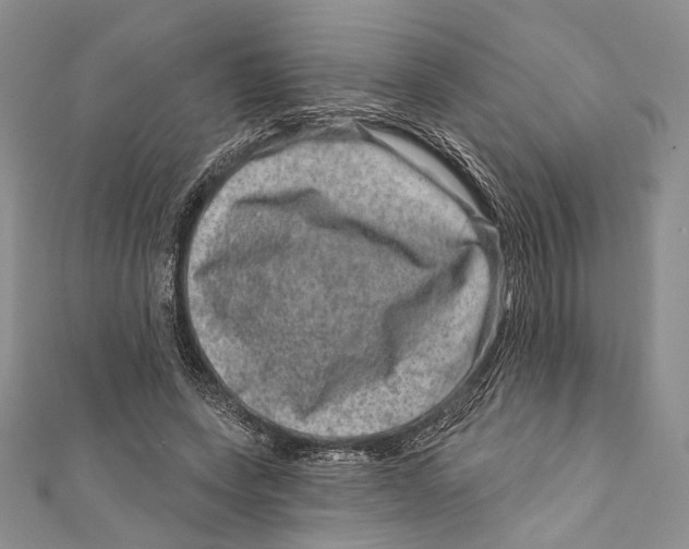 X0000111870543200908201219