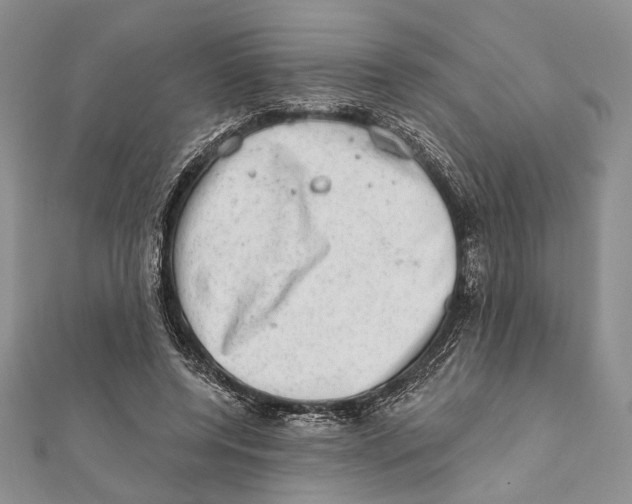 X0000111870544200908201219