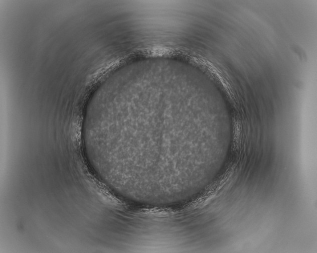 X0000111870545200908201219